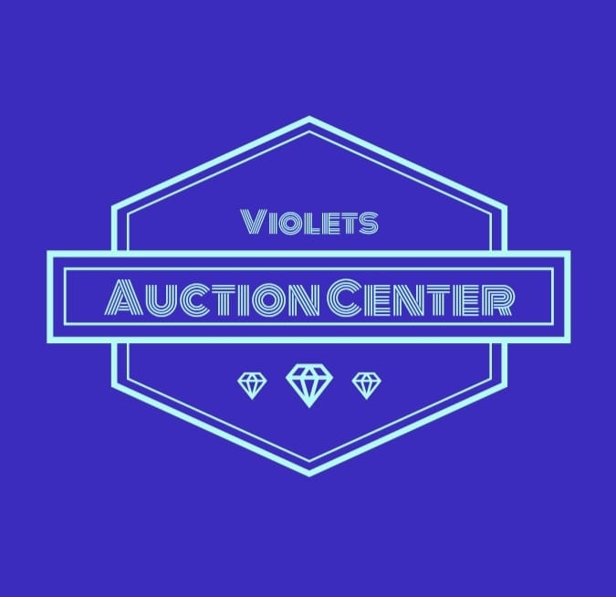 Auction Logo